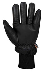 Portwest A751 Apacha Cold Store Glove