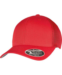 Flexfit by Yupoong 110M 110 mesh cap