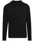Build Your Brand BY094 Raglan sweat crew neck