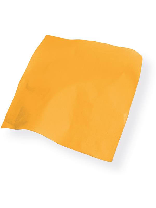 Atlantis ACBAGO Bandana Goal Adult