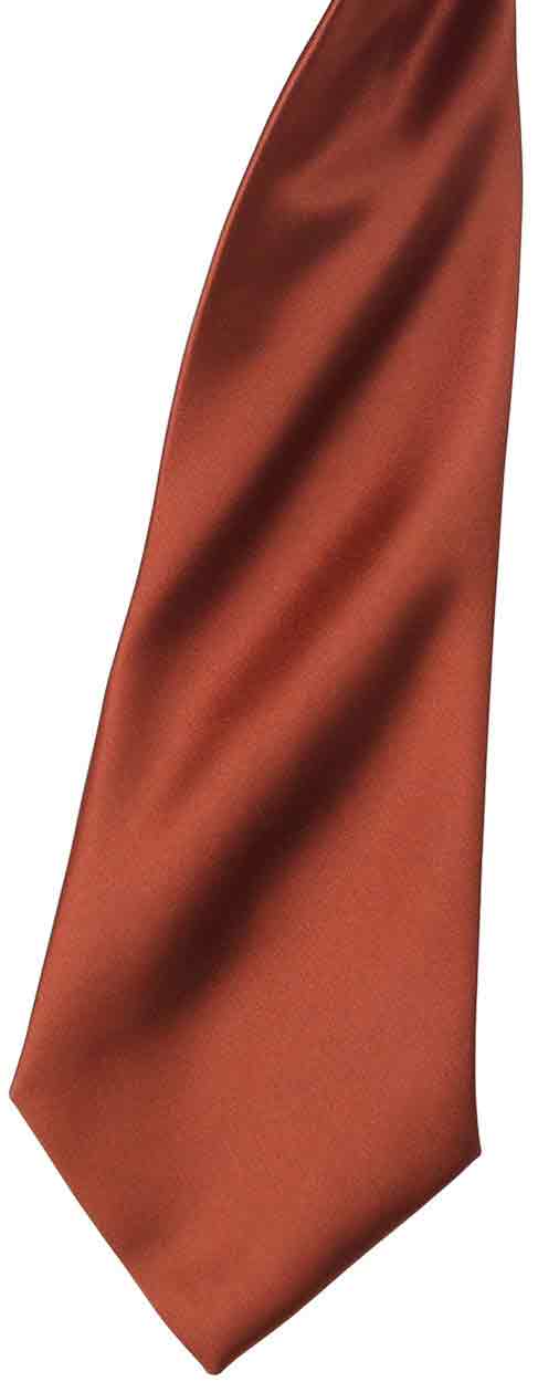 Premier PR755 'Colours' satin clip tie
