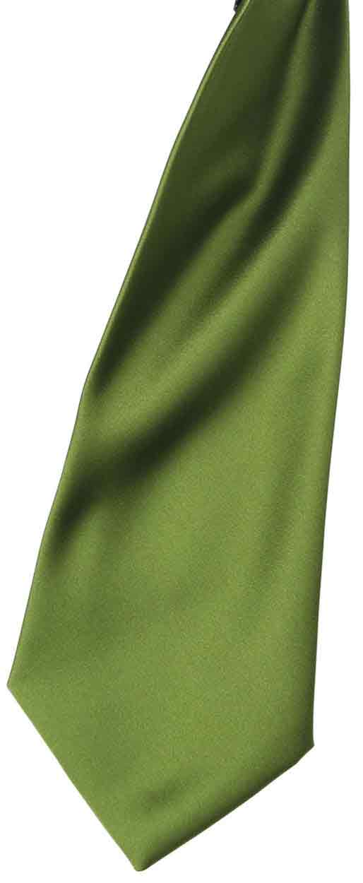 Premier PR755 'Colours' satin clip tie